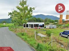 ขายที่ดินเปล่า เนื้อที่ 11 ไร่ 35 ตร.วา บ้านบึง ชลบุรี-202503301604311743325471622.jpg