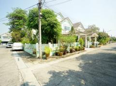  ขายบ้านเดี่ยว ซอยวัดลาดปลาดุก บ้านทิพย์พิมาน 3 ห้องนอน 2 ห้องน้ำ 55.9 ตรว หลังมุม ครัว ที่จอดรถ ใกล้รถไฟฟ้าคลองบางไผ่ และเซ็นทรัลเวสต์เกตอนนี้-202503302205311743347131234.jpg