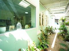  ขายบ้านเดี่ยว ซอยวัดลาดปลาดุก บ้านทิพย์พิมาน 3 ห้องนอน 2 ห้องน้ำ 55.9 ตรว หลังมุม ครัว ที่จอดรถ ใกล้รถไฟฟ้าคลองบางไผ่ และเซ็นทรัลเวสต์เกตอนนี้-202503302205321743347132579.jpg