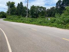 ขายที่ดิน 3-1-59 ไร่ เชียงราย – ทำเลดี ติดถนนลาดยาง เหมาะสร้างบ้าน & เกษตรกรรม-202503311518251743409105110.jpg