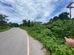 ขายที่ดิน 3-1-59 ไร่ เชียงราย – ทำเลดี ติดถนนลาดยาง เหมาะสร้างบ้าน & เกษตรกรรม-202503311518251743409105788.jpg
