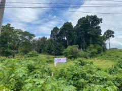 ขายที่ดิน 3-1-59 ไร่ เชียงราย – ทำเลดี ติดถนนลาดยาง เหมาะสร้างบ้าน & เกษตรกรรม-202503311518271743409107140.jpg