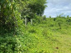 ขายที่ดิน 3-1-59 ไร่ เชียงราย – ทำเลดี ติดถนนลาดยาง เหมาะสร้างบ้าน & เกษตรกรรม-202503311518281743409108488.jpg