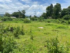 ขายที่ดิน 3-1-59 ไร่ เชียงราย – ทำเลดี ติดถนนลาดยาง เหมาะสร้างบ้าน & เกษตรกรรม-202503311518311743409111266.jpg