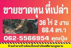 ขายที่ดินเปล่าบ้านดุง..ที่ดินใกล้คำชะโนด ติดถนนทางไปคำชะโนด