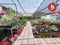 ขายบ้านเดี่ยวพร้อมที่ดิน เนื้อที่ 1 งาน 45 ตร.วา กระทุ่มแบน สมุทรสาคร-202503311701361743415296578.jpg