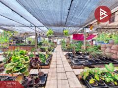 ขายบ้านเดี่ยวพร้อมที่ดิน เนื้อที่ 1 งาน 45 ตร.วา กระทุ่มแบน สมุทรสาคร-202503311701371743415297224.jpg