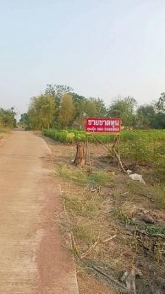 ขายที่ดินตำบลกลอนโดอำเภอด่านมะขามเตี้ย ที่ดินติดทางสาธารณะ ที่ดินวิวภูเขา