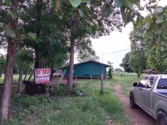 ขายที่ดินเปล่าทำเลดี ที่ดิน  20 ไร่ ต.พัฒนานิคม อ.พัฒนานิคม จ.ลพบุรี  ที่ตั้ง : ต.พัฒนานิคม อ.พัฒนานิคม จ.ลพบุรี  ขนาดที่ดิน : 20 ไร่   รายละเอียด เจ้าของขายเอง เอกสารโอนฟรี ที่ดินแบ่งขายแปลงละ 4 ไร่มี 5 แปลง ที่ดิน 20 ไร่ ไร่ละ 850,000 บาท น้ำ ไฟ เข-202503311939121743424752403.jpg
