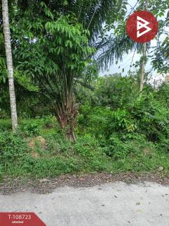ขายบ้านเดี่ยวพร้อมที่ดิน เนื้อที่ 2 งาน 37 ตร.วา ชะอวด นครศรีธรรมราช-202504011025281743477928631.jpg