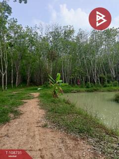 ขายที่ดินเปล่า เนื้อที่ 5 ไร่ 2 งาน 64.3 ตร.วา ชะอวด นครศรีธรรมราช-202504011259361743487176668.jpg