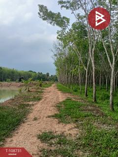 ขายที่ดินเปล่า เนื้อที่ 5 ไร่ 2 งาน 64.3 ตร.วา ชะอวด นครศรีธรรมราช-202504011259371743487177321.jpg