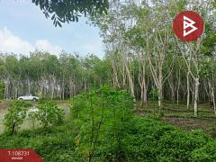ขายที่ดินเปล่า เนื้อที่ 5 ไร่ 2 งาน 64.3 ตร.วา ชะอวด นครศรีธรรมราช-202504011259391743487179308.jpg