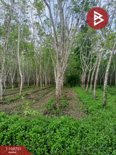 ขายที่ดินเปล่า เนื้อที่ 5 ไร่ 2 งาน 64.3 ตร.วา ชะอวด นครศรีธรรมราช-202504011259411743487181259.jpg