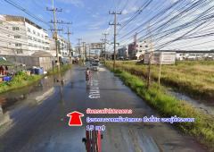 ขายที่ดิน ลำลูกกาคลองสอง ปทุมธานี-202504011400011743490801155.jpg