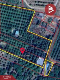 ขายที่ดินสวนทุเรียนและสิ่งปลูกสร้าง อำเภอเขาสมิง จังหวัดตราด-202504011621031743499263231.jpg
