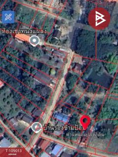 ขายบ้านเดี่ยวพร้อมที่ดิน เนื้อที่ 1 งาน เทิง เชียงราย-202504020950061743562206727.jpg
