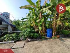 ขายที่ดิน เนื้อที่ 60.2 ตร.วา คลองหลวง ปทุมธานี-202504021741541743590514396.jpg