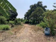 ขายด่วน !! ที่ดินเพื่อพัฒนา ติดถนน 2 ด้าน หลังแม็คโครนครปฐม -202504022149511743605391690.jpeg