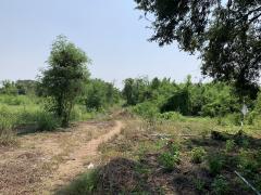 ขายด่วน !! ที่ดินเพื่อพัฒนา ติดถนน 2 ด้าน หลังแม็คโครนครปฐม -202504022149521743605392409.jpeg