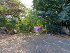ขายที่ดินเปล่า 78 ตร.ว. หมู่บ้านทิมเรืองเวช พหลโยธิน 48 (ซอยสายหยุด)