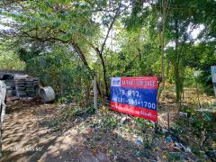 ขายที่ดินเปล่า 78 ตร.ว. หมู่บ้านทิมเรืองเวช พหลโยธิน 48 (ซอยสายหยุด)-202504022315301743610530363.jpg