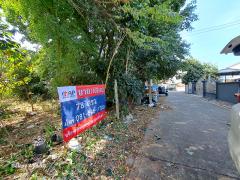 ขายที่ดินเปล่า 78 ตร.ว. หมู่บ้านทิมเรืองเวช พหลโยธิน 48 (ซอยสายหยุด)-202504022315301743610530989.jpg