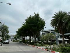 ขายทาวน์โฮม 3 ชั้น บ้านกลางเมือง พระราม 9 - รามคำแหง #LB07 – 000993-202504031010111743649811288.jpg