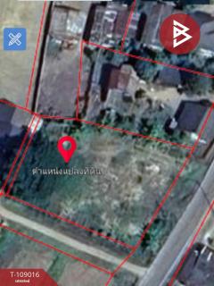 ขายที่ดินทำเลดี เนื้อที่ 2 งาน 80.6 ตร.วา พาน เชียงราย-202504031012271743649947896.jpg