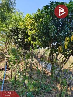 ขายที่ดิน เนื้อที่ 2 ไร่ 1 งาน 95.8 ตร.วา บ้านหมอ สระบุรี-202504031103441743653024134.jpg