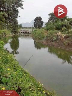 ขายที่ดิน เนื้อที่ 2 ไร่ 1 งาน 95.8 ตร.วา บ้านหมอ สระบุรี-202504031103491743653029003.jpg