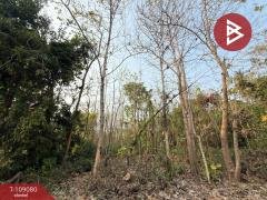 ขายที่ดิน เนื้อที่ 1 ไร่ 2 งาน 58 ตร.วา คุ้งตะเภา อุตรดิตถ์-202504031109341743653374778.jpg