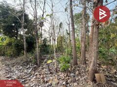 ขายที่ดิน เนื้อที่ 1 ไร่ 2 งาน 58 ตร.วา คุ้งตะเภา อุตรดิตถ์-202504031109351743653375435.jpg