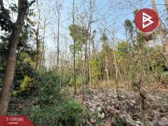 ขายที่ดิน เนื้อที่ 1 ไร่ 2 งาน 58 ตร.วา คุ้งตะเภา อุตรดิตถ์-202504031109361743653376746.jpg