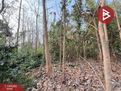 ขายที่ดิน เนื้อที่ 1 ไร่ 2 งาน 58 ตร.วา คุ้งตะเภา อุตรดิตถ์-202504031109371743653377402.jpg