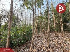 ขายที่ดิน เนื้อที่ 1 ไร่ 2 งาน 58 ตร.วา คุ้งตะเภา อุตรดิตถ์-202504031109381743653378072.jpg