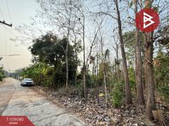 ขายที่ดิน เนื้อที่ 1 ไร่ 2 งาน 58 ตร.วา คุ้งตะเภา อุตรดิตถ์-202504031109411743653381693.jpg