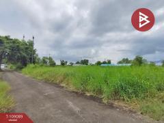 ขายที่ดินถมแล้ว เนื้อที่ 2 งาน 36.5 ตร.วา เกาะขวาง จันทบุรี-202504031150531743655853295.jpg