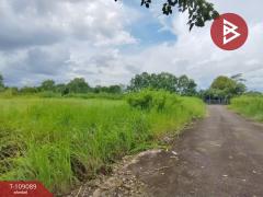 ขายที่ดินถมแล้ว เนื้อที่ 2 งาน 36.5 ตร.วา เกาะขวาง จันทบุรี-202504031150541743655854575.jpg