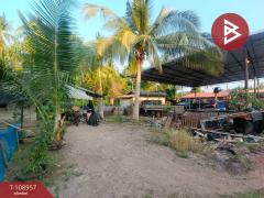 ขายบ้านเดี่ยวพร้อมที่ดิน เนื้อที่ 3 งาน 76 ตร.วา บ้านปรก สมุทรสงคราม-202504031329001743661740781.jpg