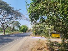 ขายที่ดิน 200 ตรว.ต.คลองสิบสอง ห่างถนนลำลูก 3 กม ห่างเขตหนองจอก 10 กม