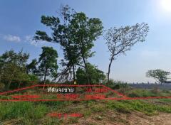 ขายที่ดิน 200 ตรว.ต.คลองสิบสอง ห่างถนนลำลูก 3 กม ห่างเขตหนองจอก 10 กม-202504031509511743667791726.jpg