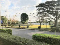 ขายบ้านเดี่ยว หลังมุมติดสวน ใกล้สุขุมวิท มบ.สินทวี การ์เด้น 2 ขนาด 62 ตร.วา ใกล้แหล่งชุมชน-202504031603081743670988066.jpg
