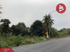 ขายที่ดิน เนื้อที่ 4 ไร่ 3 งาน 39.3 ตร.วา บ้านหมอ สระบุรี-202504031606591743671219017.jpg