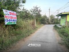 ที่ดินใกล้องค์การบริหารส่วนตำบลศาลเจ้าโรงทอง อำเภอวิเศษ จังหวัดอ่างทอง เนื้อที่ 2 ไร่-202504031706071743674767219.jpg