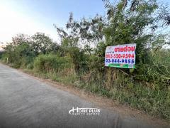 ที่ดินใกล้องค์การบริหารส่วนตำบลศาลเจ้าโรงทอง อำเภอวิเศษ จังหวัดอ่างทอง เนื้อที่ 2 ไร่-202504031706081743674768366.jpg