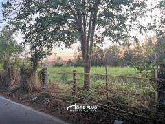 ที่ดินใกล้องค์การบริหารส่วนตำบลศาลเจ้าโรงทอง อำเภอวิเศษ จังหวัดอ่างทอง เนื้อที่ 2 ไร่-202504031706101743674770086.jpg