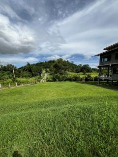 ปล่อยเช่า บ้านพร้อมที่ดิน (เจ้าของปล่อยเองครับ) สามารถทำ ที่พัก พูลวิลล่าฯลฯ ได้-202504031801591743678119942.jpg