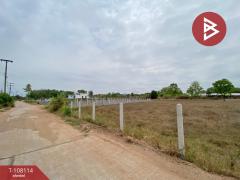 ขายที่ดินด่วน เนื้อที่ 8 ไร่ 3 งาน 93.4 ตร.วา หนองไฮ อุดรธานี-202504041058011743739081415.jpg