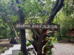 บ้านสวนละมุด 101 อำเภอบ้านลาด จังหวัดเพชรบุรี ขายบ้านพร้อมที่ดิน 266 ตารางวา 2 ห้องนอน 2 ห้องน้ำ บ้านพร้อมอยู่ ใกล้โรบินสันเพชรบุรี 7 กม.-202504041135131743741313159.jpg